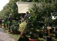 Mostra-mercato Vanzo Floreale 2009